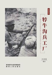 陆梓陵城