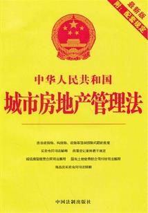 我和我是又不是的男友
