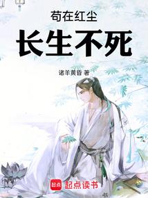 明王朝最后一刻崇祯篇