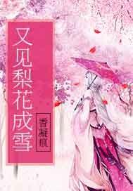 厨掌乾坤