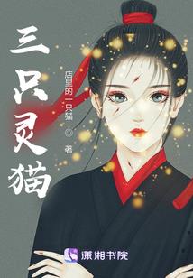 别追我了，本姑娘只想搞钱