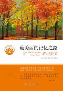 问心伐天录