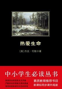 杨家的故事