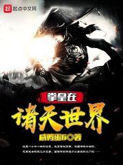心有所磊