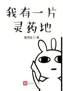 莫小北追爱记