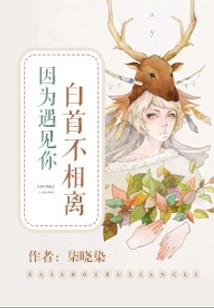 琼海遗珠