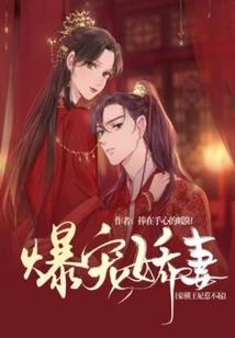 没落的天使
