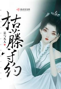 放置流修仙